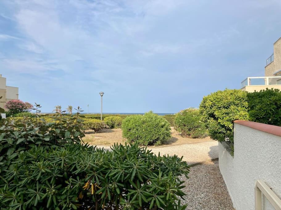 Le Grand Large 3 Pieces En Rez De Jardin, Avec Terrasse Et Acces Direct A La Plage A Pied Le Barcares Exterior photo